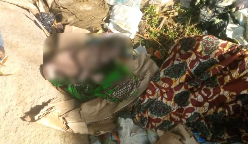 FB IMG 1766050600299